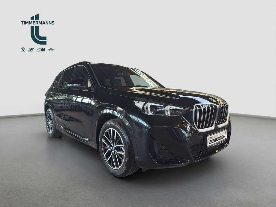 BMW X1 (Bild 9/30)