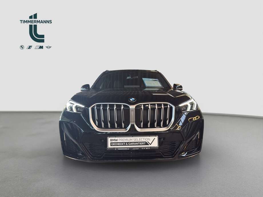 BMW X1 (Bild 10/30)