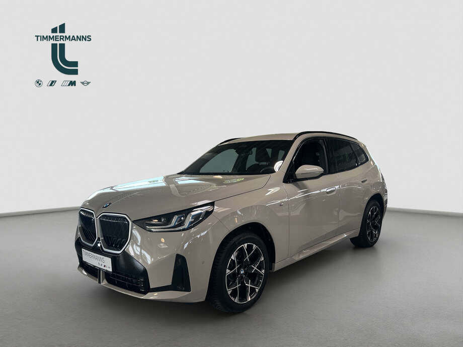 BMW X3 (Bild 1/20)