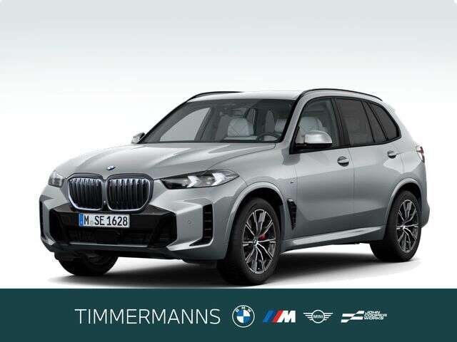 BMW X5 (Bild 1/6)