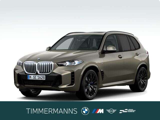 BMW X5 (Bild 1/6)