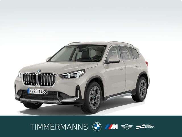 BMW X1 (Bild 1/6)