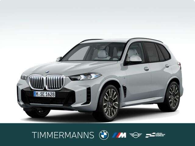 BMW X5 (Bild 1/6)
