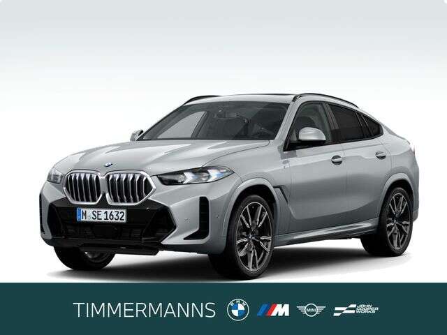 BMW X6 (Bild 1/6)