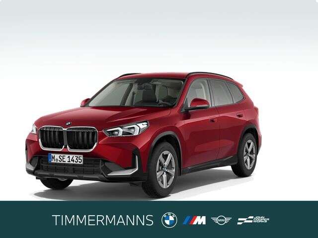 BMW X1 (Bild 1/6)