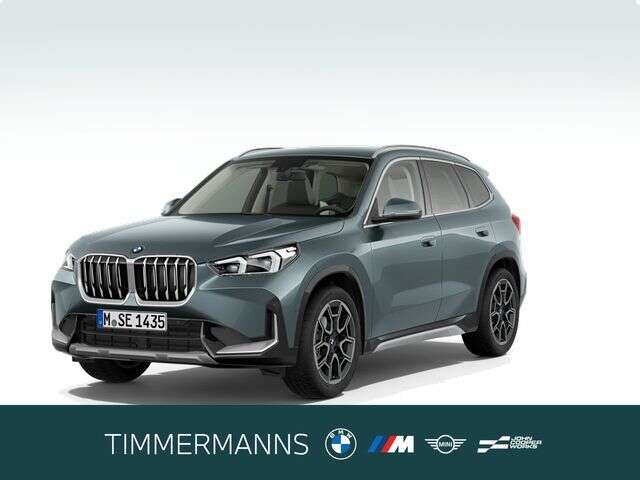 BMW X1 (Bild 1/6)