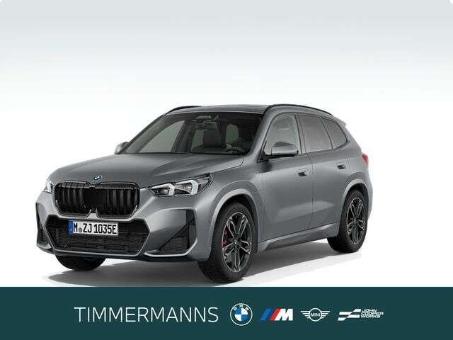 BMW X1 (Bild 1/6)