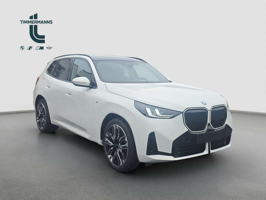BMW X3 (Bild 7/17)