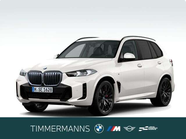 BMW X5 (Bild 1/6)