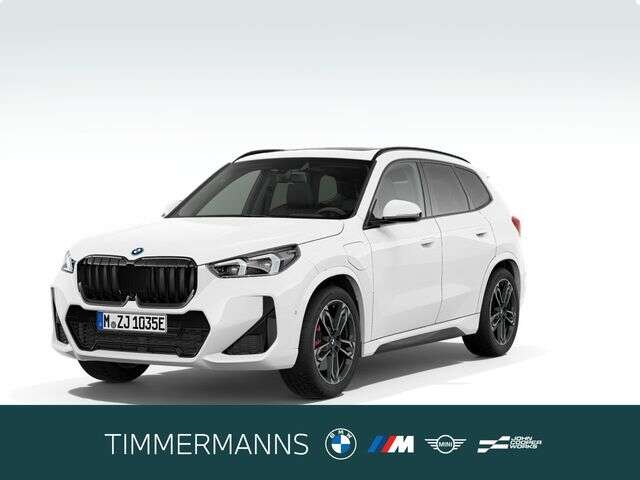 BMW X1 (Bild 1/6)