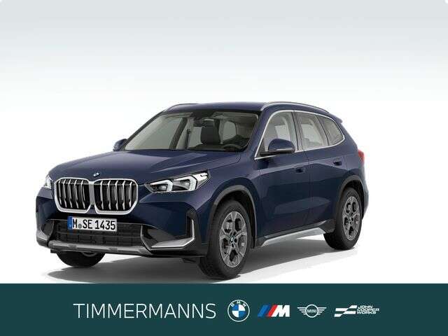 BMW X1 (Bild 1/6)