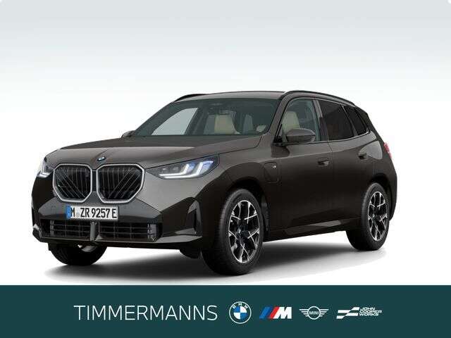 BMW X3 (Bild 1/6)