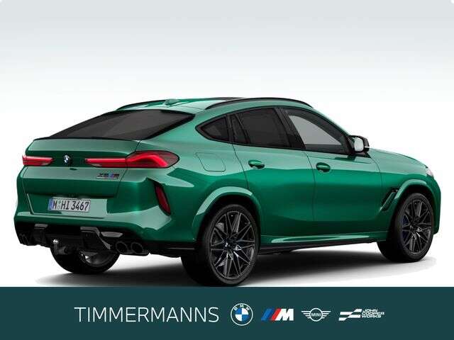 BMW X6 M (Bild 6/6)