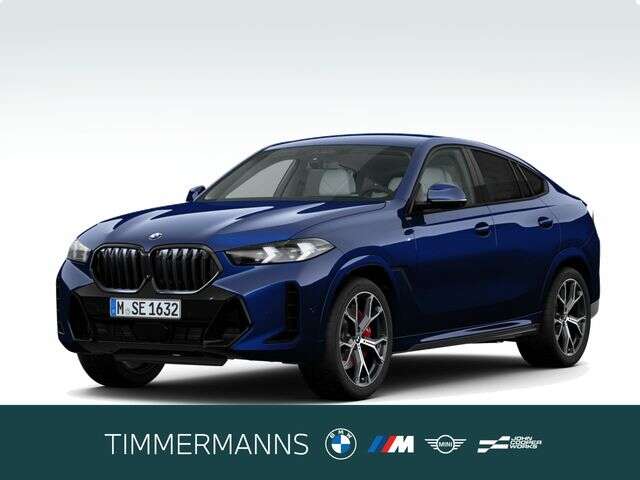 BMW X6 (Bild 1/6)