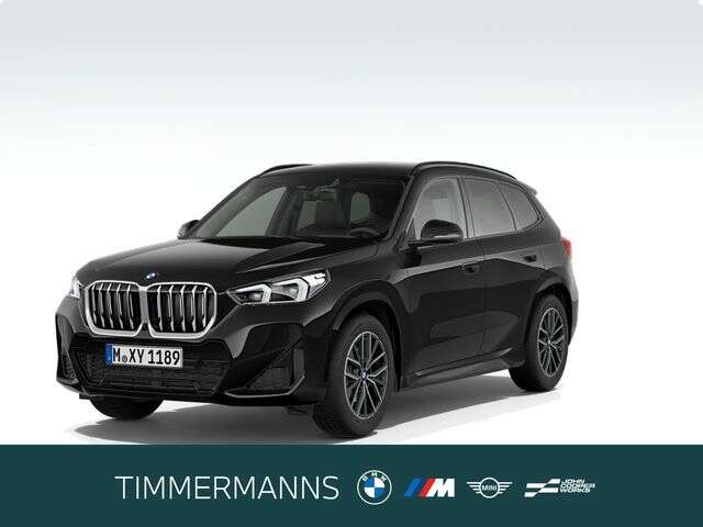 BMW X1 (Bild 1/6)