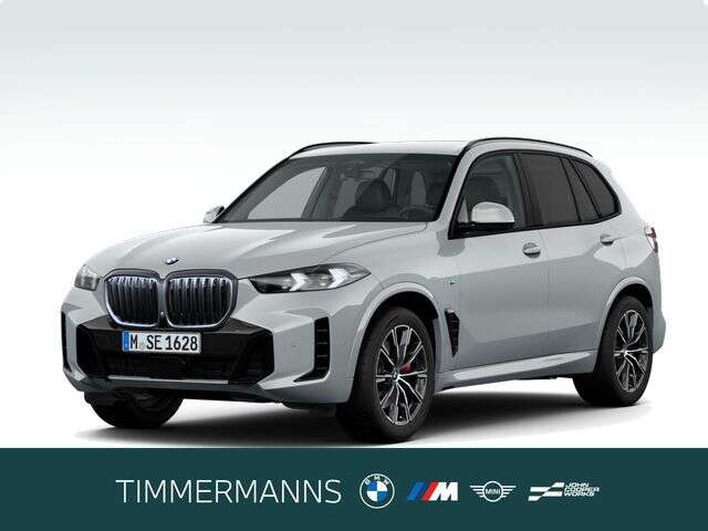 BMW X5 (Bild 1/6)