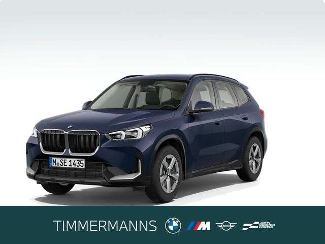 BMW X1 (Bild 1/6)