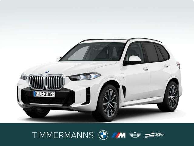 BMW X5 (Bild 1/6)