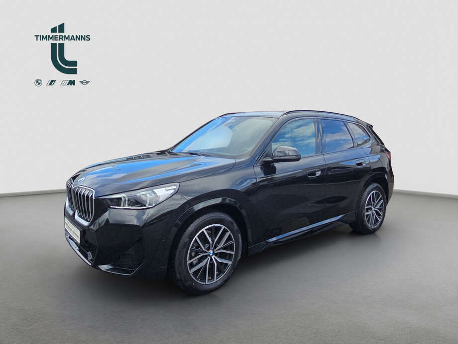 BMW X1 (Bild 1/18)