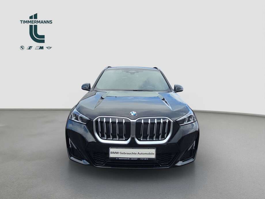 BMW X1 (Bild 8/18)