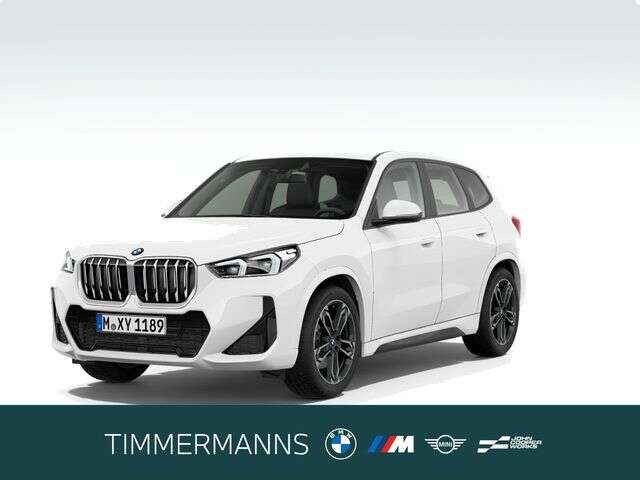 BMW X1 (Bild 1/5)