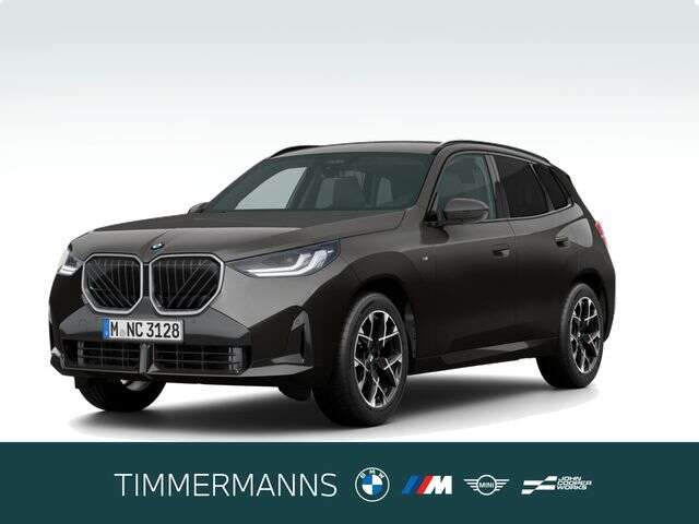 BMW X3 (Bild 1/5)