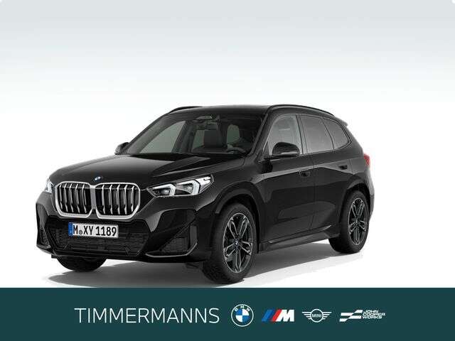 BMW X1 (Bild 1/5)