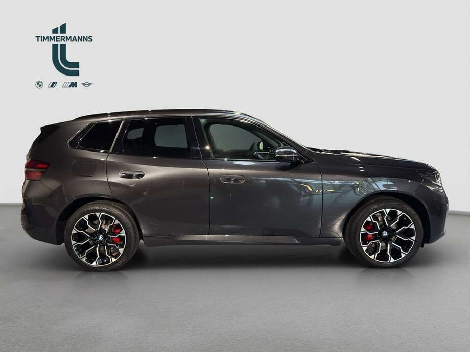 BMW X3 (Bild 7/17)