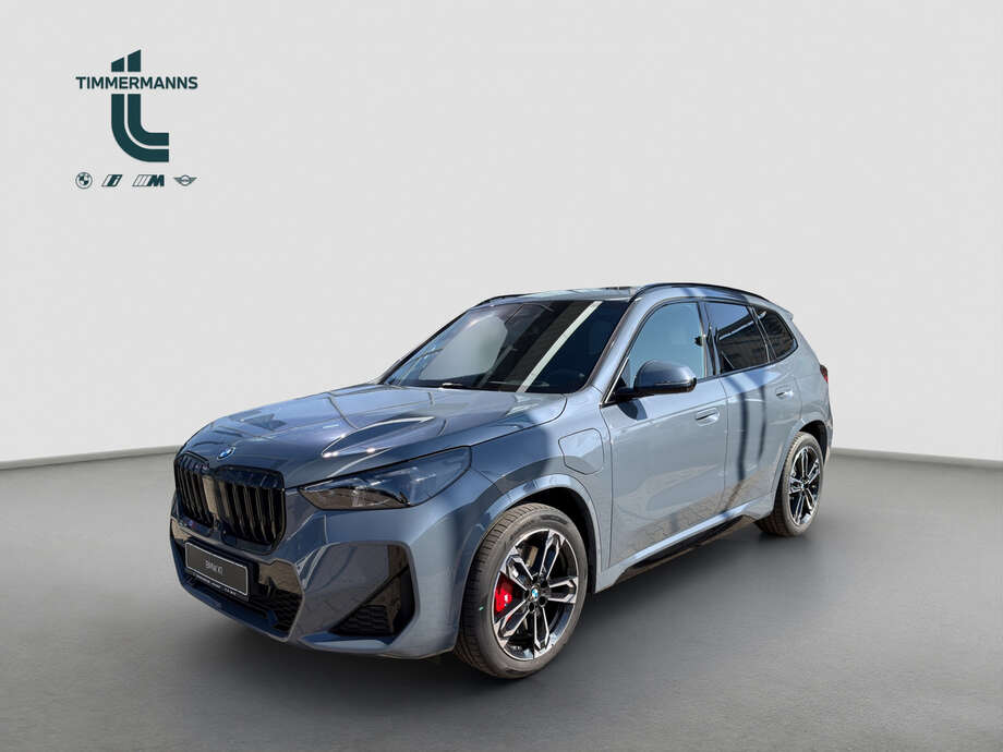 BMW X1 (Bild 1/18)
