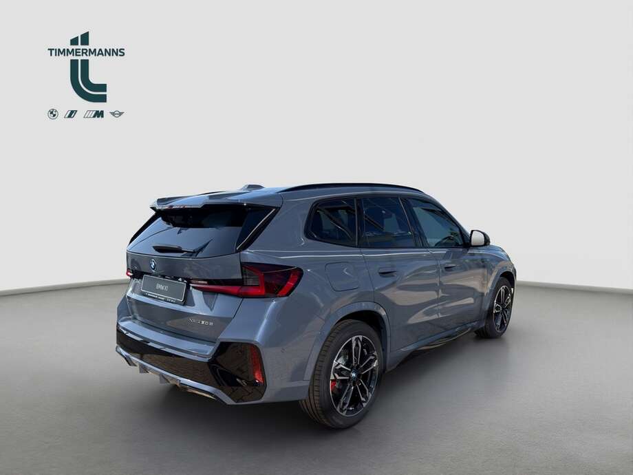 BMW X1 (Bild 5/18)