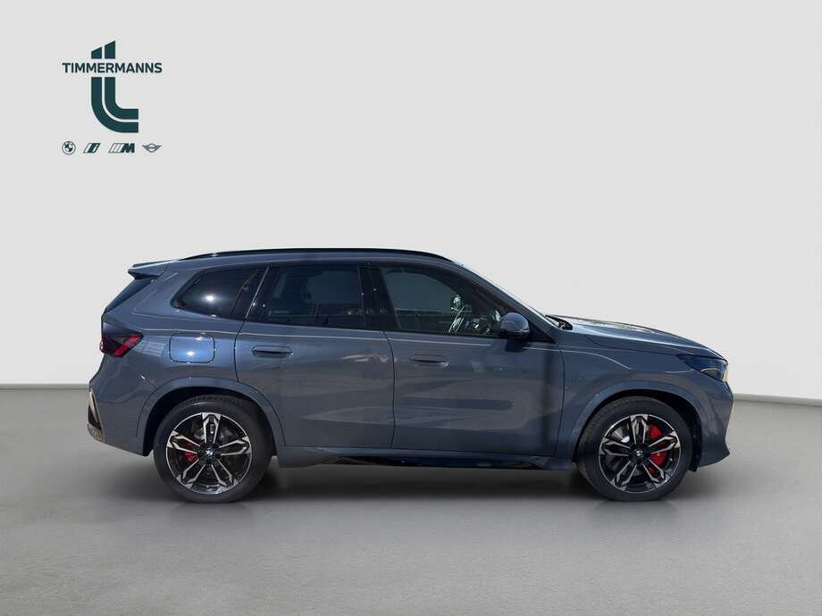 BMW X1 (Bild 6/18)