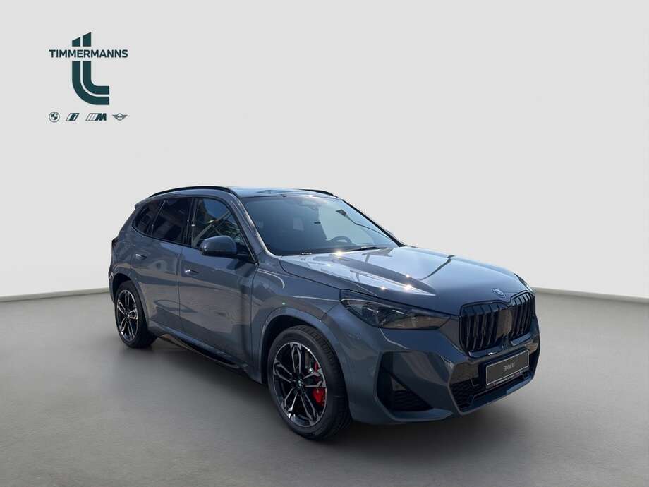 BMW X1 (Bild 7/18)