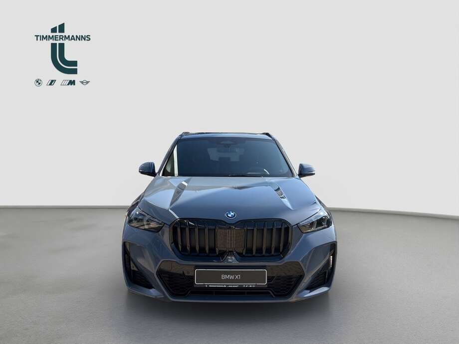 BMW X1 (Bild 8/18)