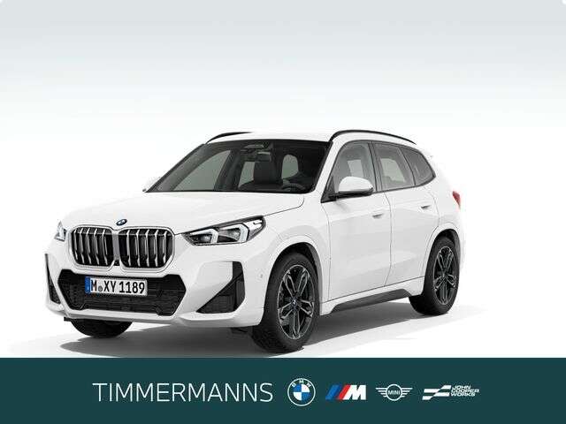 BMW X1 (Bild 1/5)