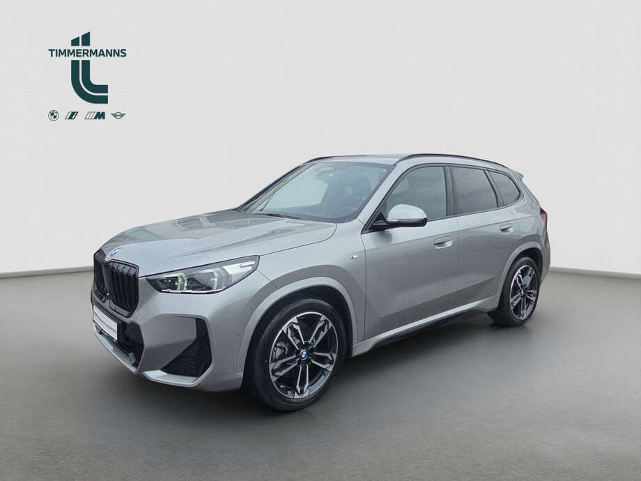 BMW X1 (Bild 1/19)