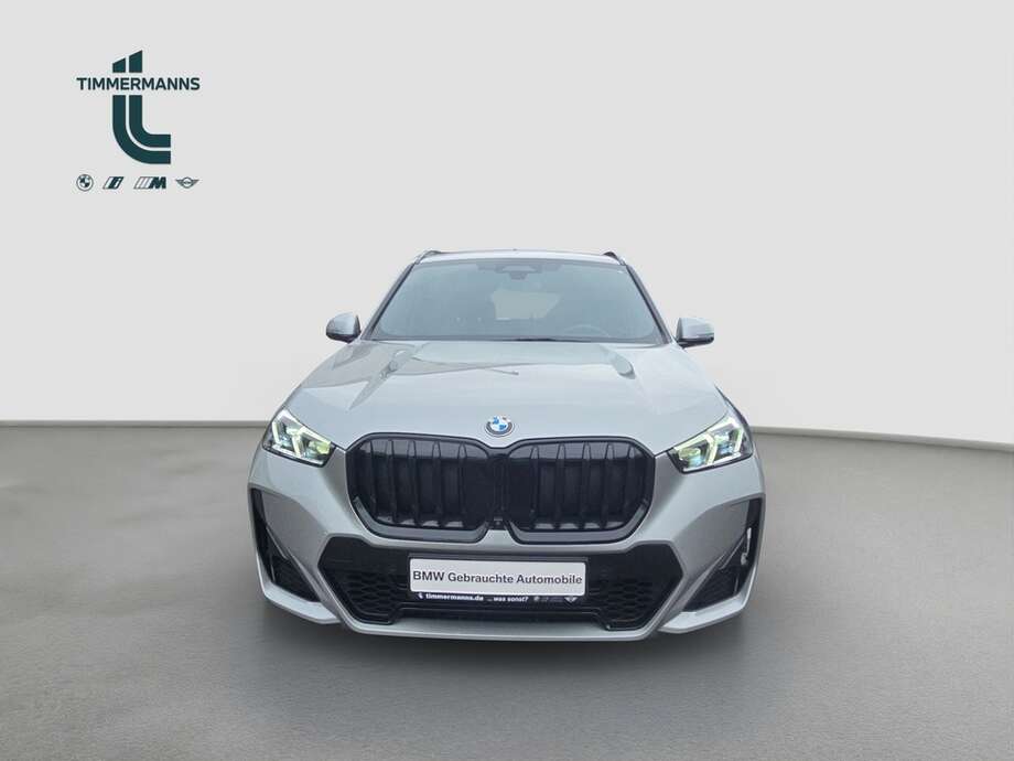 BMW X1 (Bild 8/19)