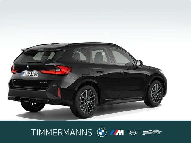 BMW X1 (Bild 5/5)