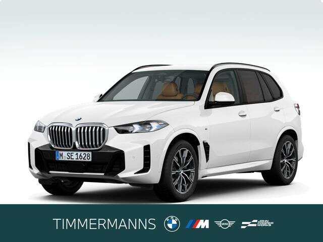 BMW X5 (Bild 1/5)