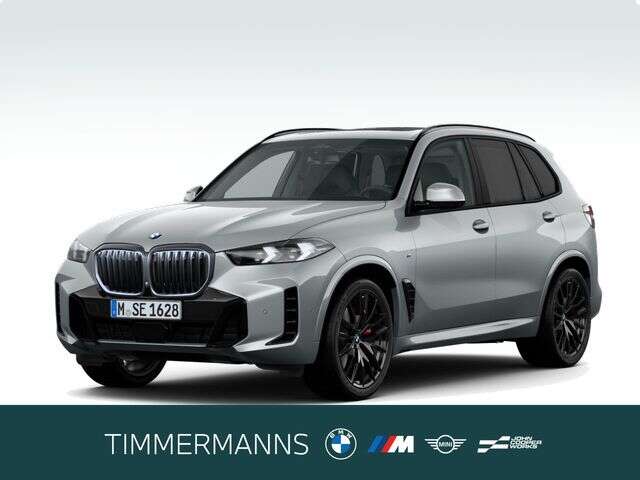 BMW X5 (Bild 1/5)