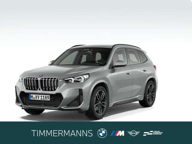 BMW X1 (Bild 1/5)
