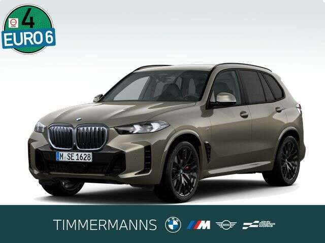 BMW X5 (Bild 1/5)