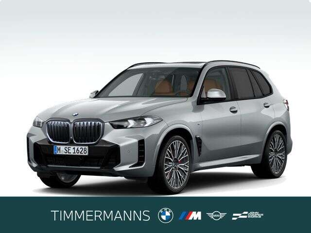 BMW X5 (Bild 1/5)