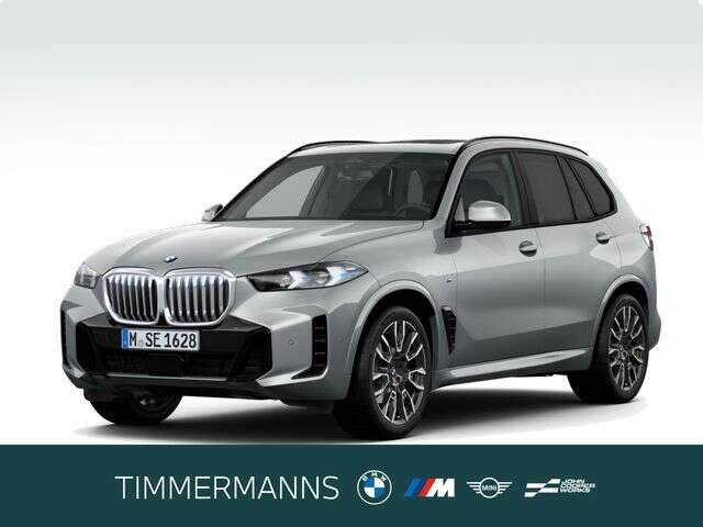BMW X5 (Bild 1/5)