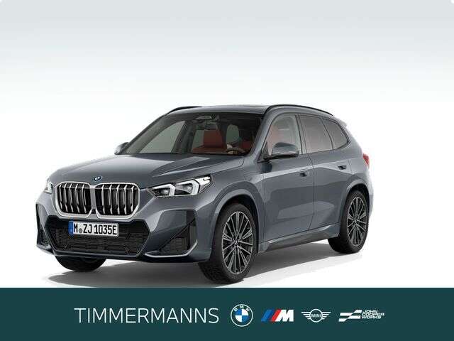 BMW X1 (Bild 1/5)