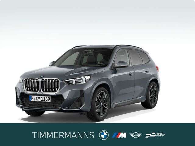 BMW X1 (Bild 1/5)