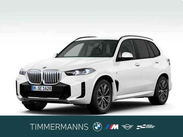 BMW X5 (Bild 1/5)