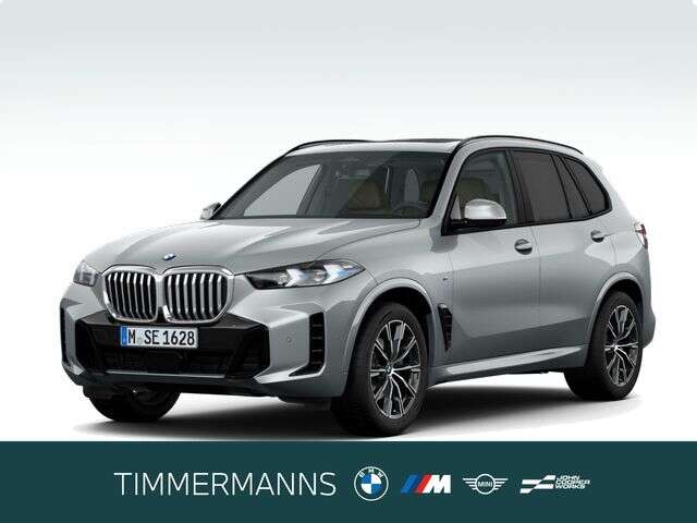 BMW X5 (Bild 1/5)