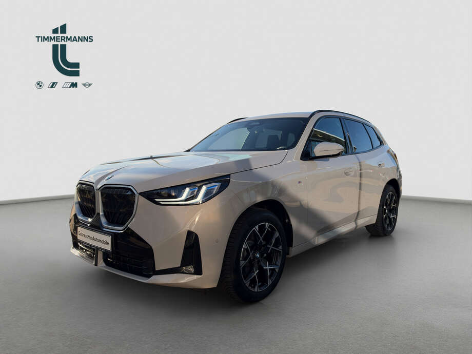 BMW X3 (Bild 1/13)