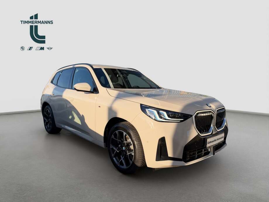BMW X3 (Bild 6/13)