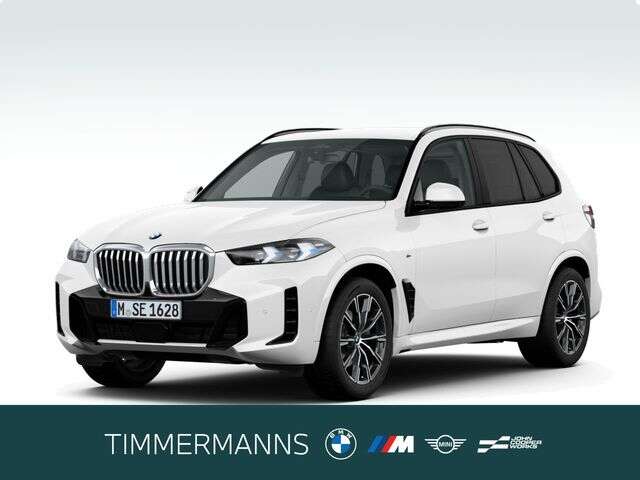 BMW X5 (Bild 1/5)